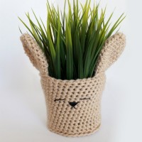 Rabbit for Plant